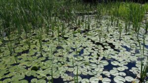 Wykorzystanie specjalistycznych firm do poszukiwań wód