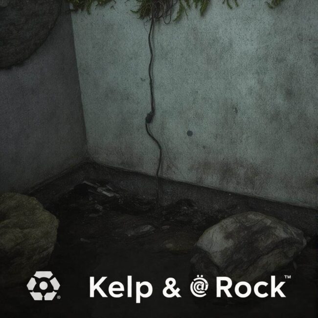 Alarmy przeciwwłamaniowe do piwnicy